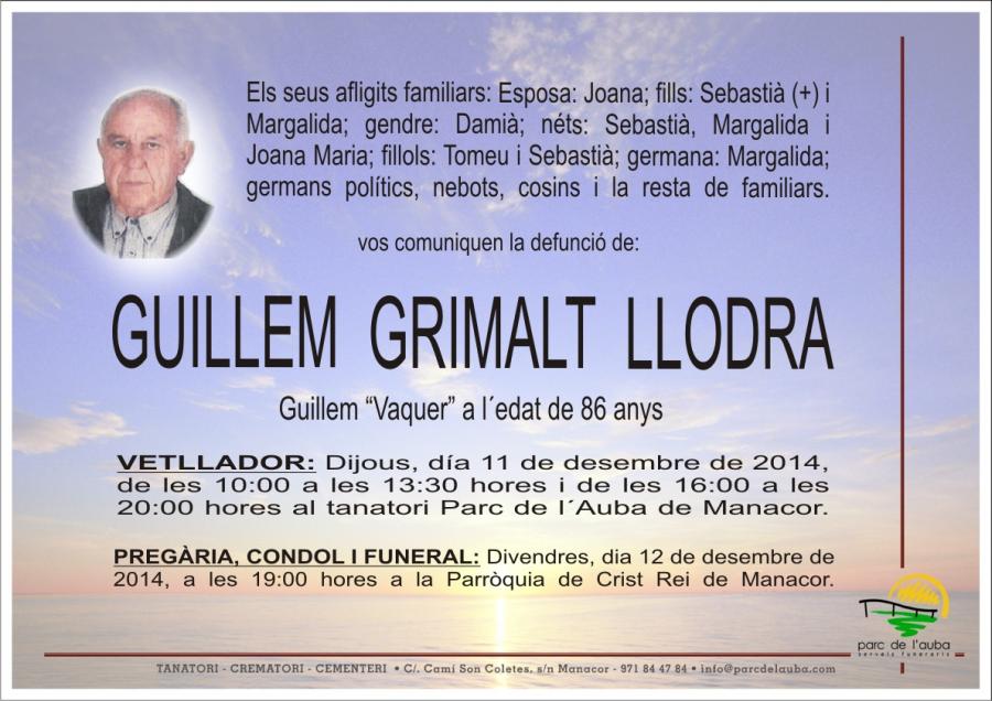 GUILLEM GRIMALT  LLODRA