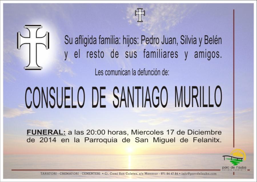 CONSUELO DE SANTIAGO MURILLO
