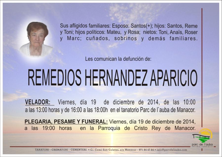 REMEDIOS HERNANDEZ APARICIO