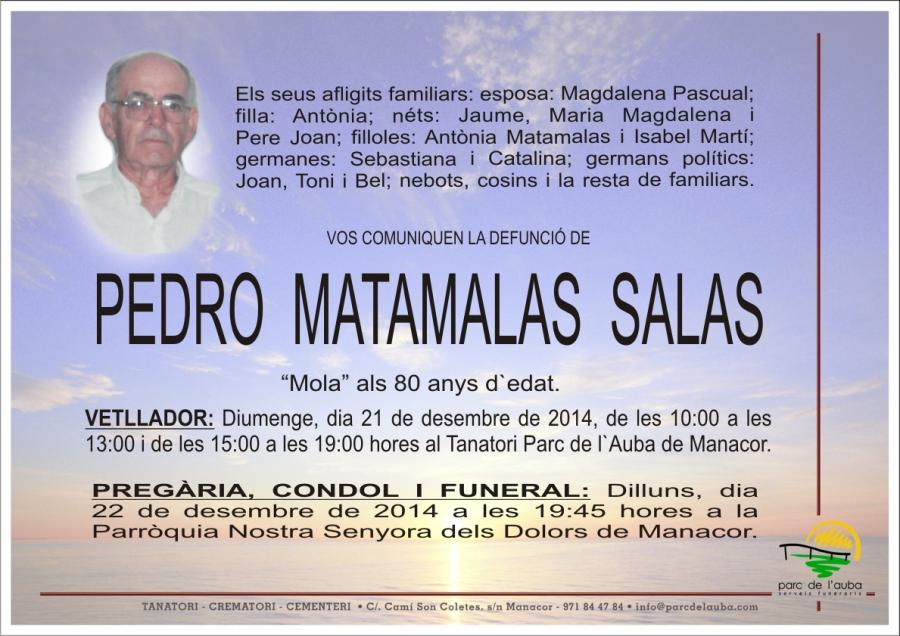 PEDRO MATAMALAS SALAS