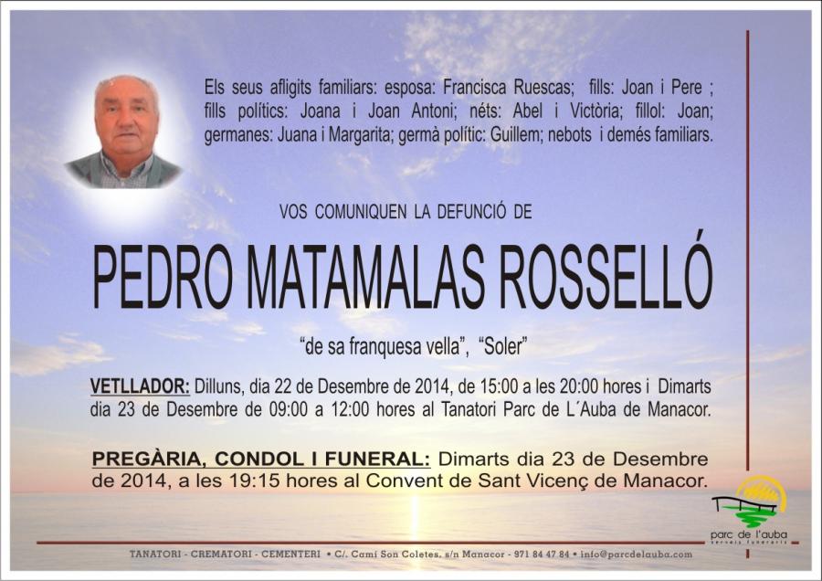 PEDRO MATAMALAS ROSSELLÓ