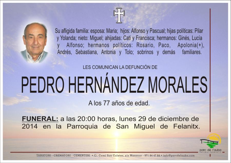 PEDRO HERNÁNDEZ MORALES
