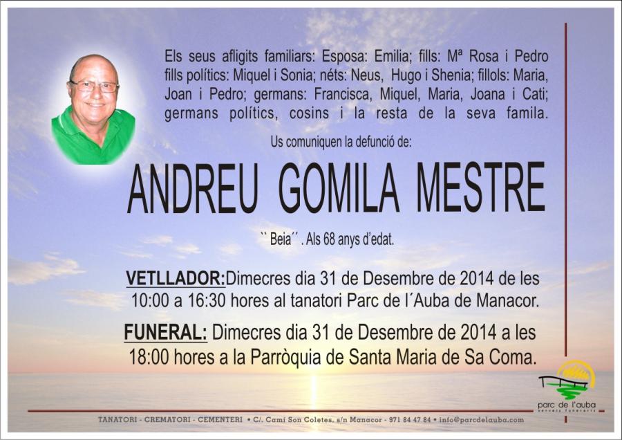 ANDREU  GOMILA MESTRE