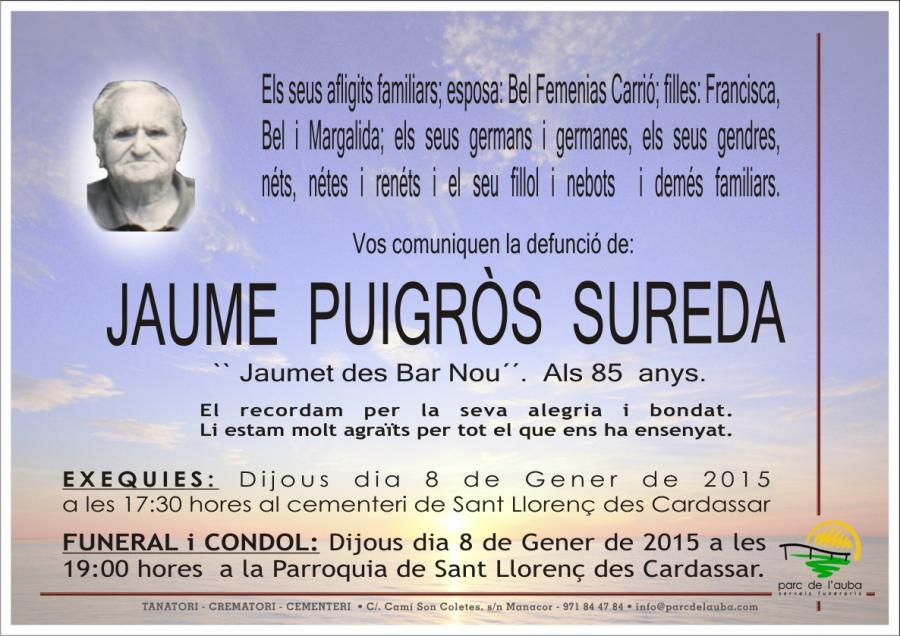 JAUME  PUIGRÃ'S SUREDA