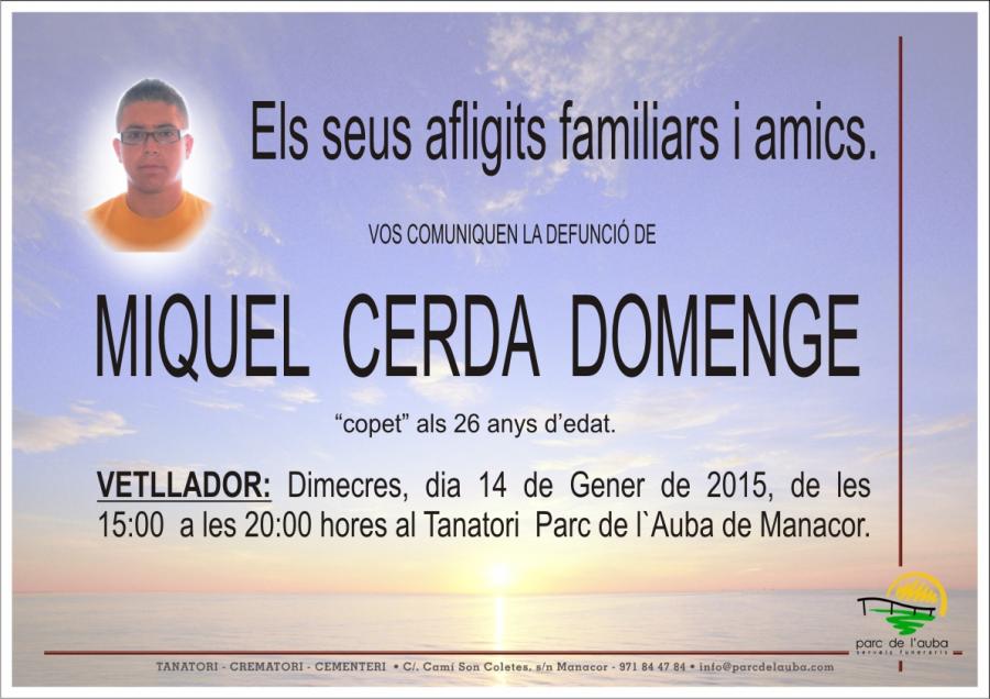 MIQUEL CERDA DOMENGE