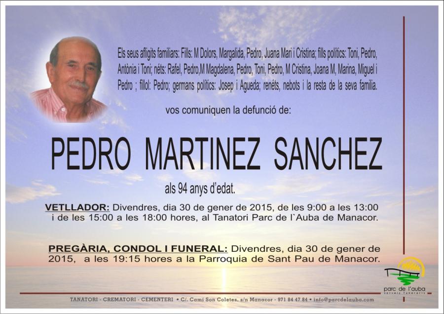 PEDRO MARTINEZ SANCHEZ