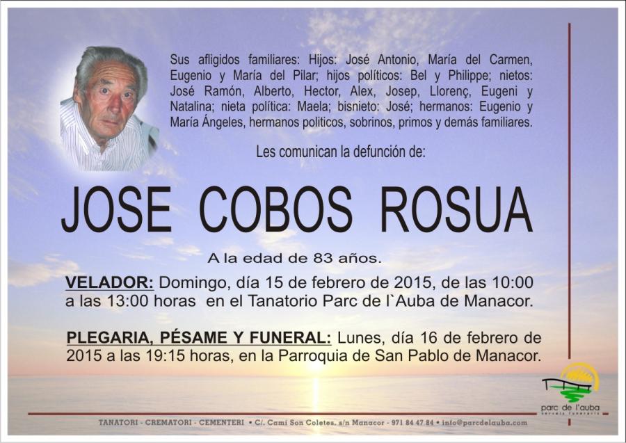 JOSE COBOS  ROSUA