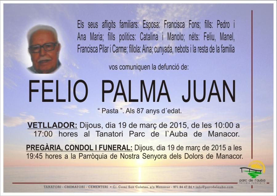 FELIO PALMA JUAN