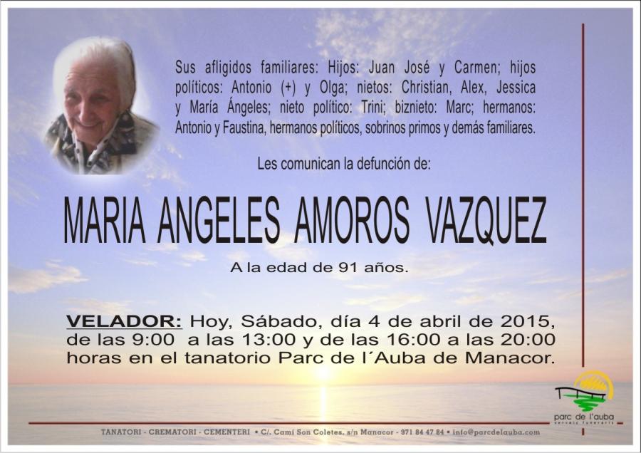 MARIA ANGELES AMOROS VAZQUEZ