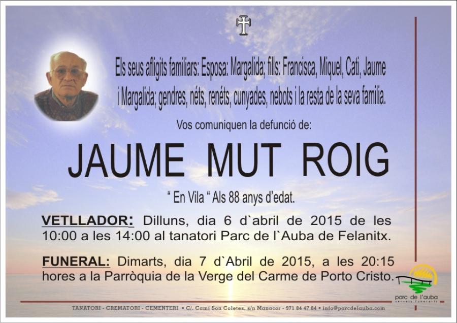 JAUME  MUT ROIG