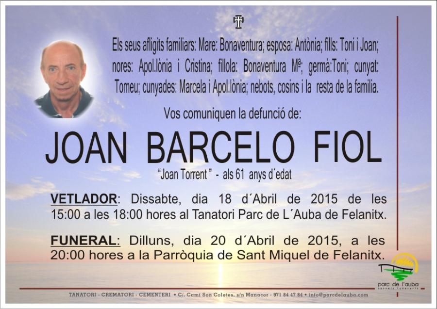 JOAN BARCELO FIOL