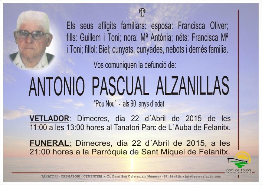 ANTONIO PASCUAL  ALZANILLAS