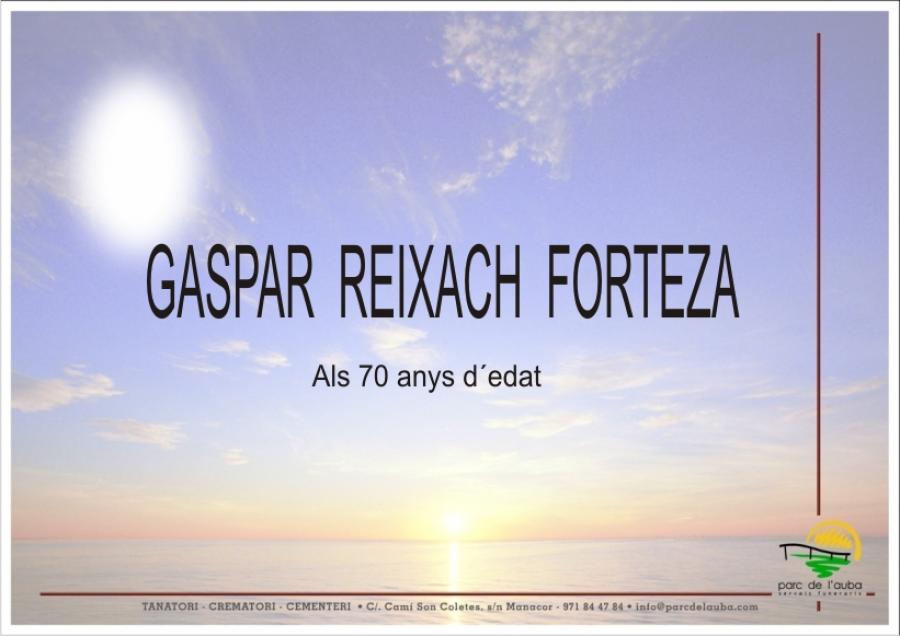 GASPAR REIXACH  FORTEZA