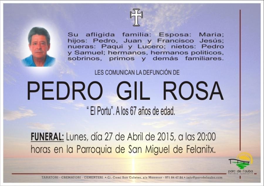 PEDRO GIL ROSA