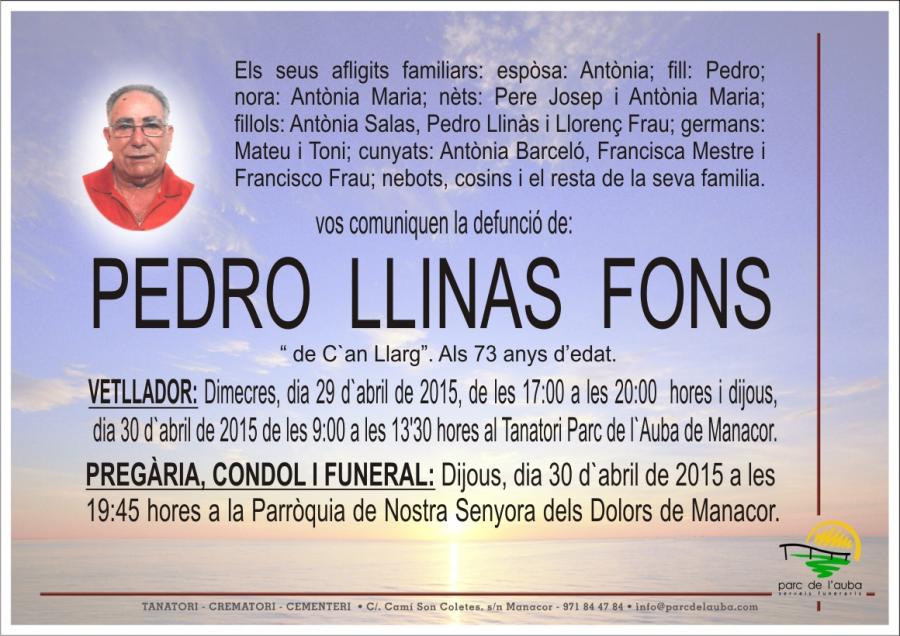 PEDRO LLINAS FONS