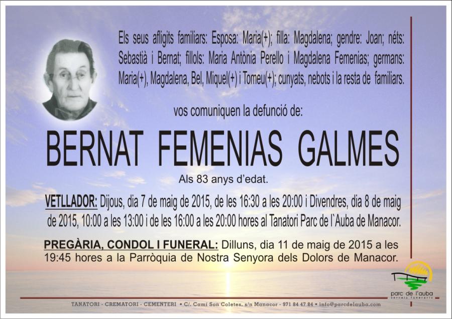 BERNAT FEMENIAS GALMES