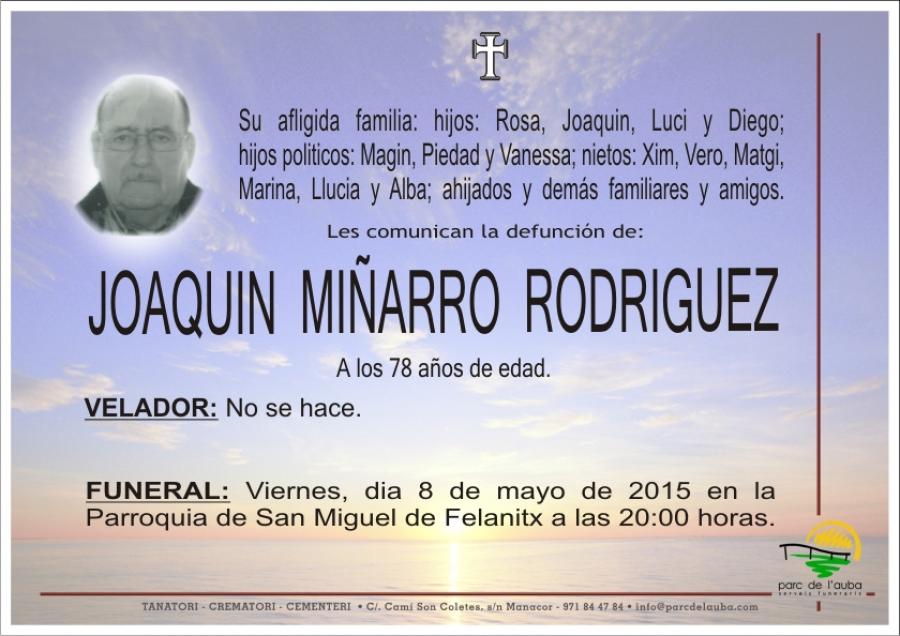 JOAQUIN MIÑARRO RODRIGUEZ