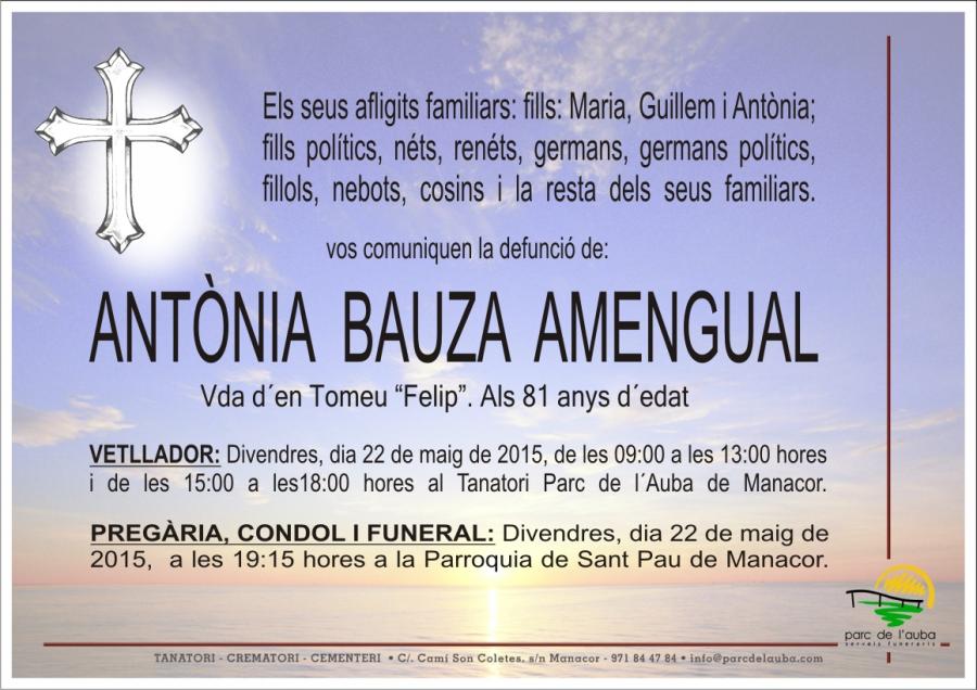 ANTÃ'NIA BAUZA AMENGUAL