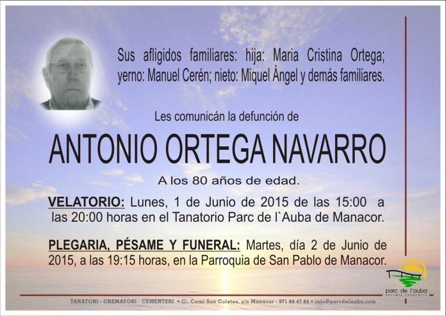 ANTONIO  ORTEGA NAVARRO