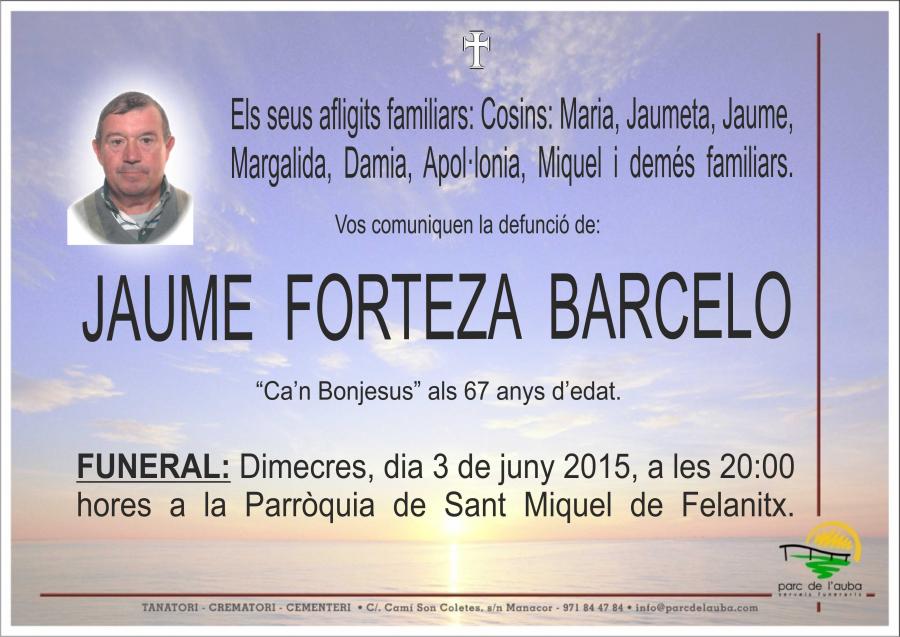 JAUME FORTEZA BARCELO