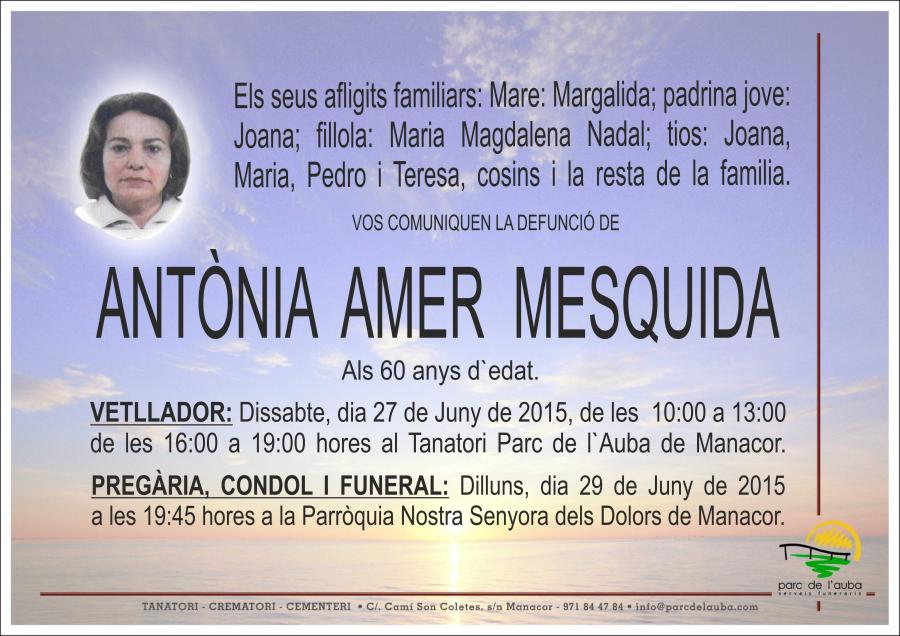 ANTÃ'NIA AMER MESQUIDA