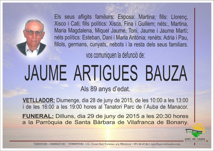 JAUME ARTIGUES BAUZA