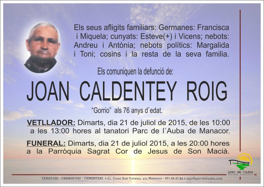 JOAN CALDENTEY ROIG