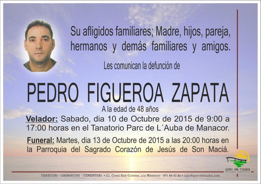PEDRO FIGUEROA ZAPATA