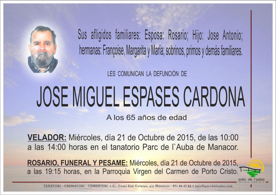 JOSE MIGUEL ESPASES CARDONA