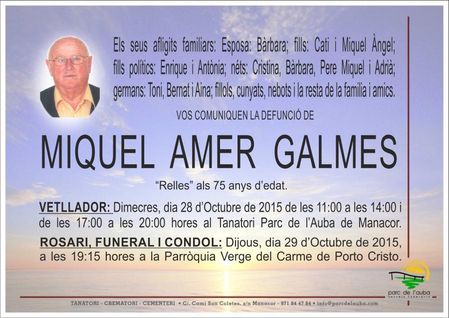 MIQUEL AMER GALMES