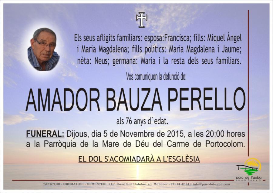 AMADOR BAUZA PERELLO