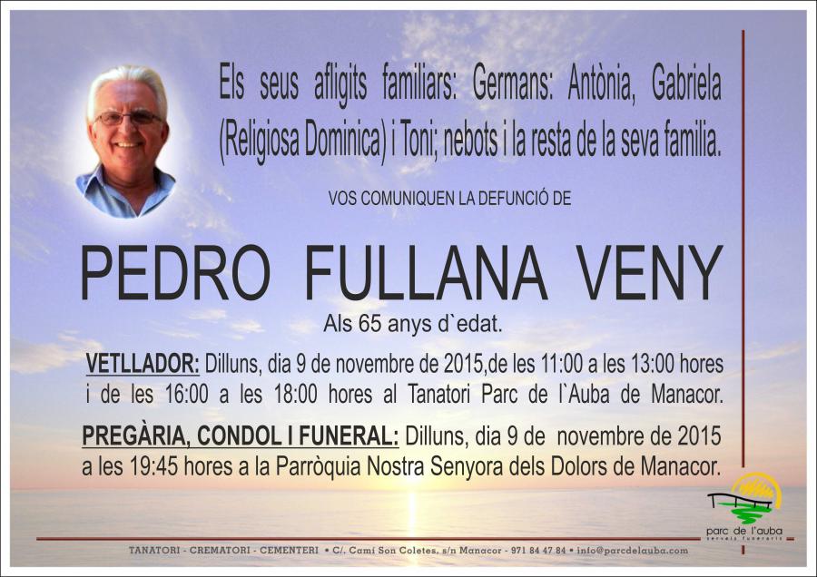 PEDRO FULLANA VENY