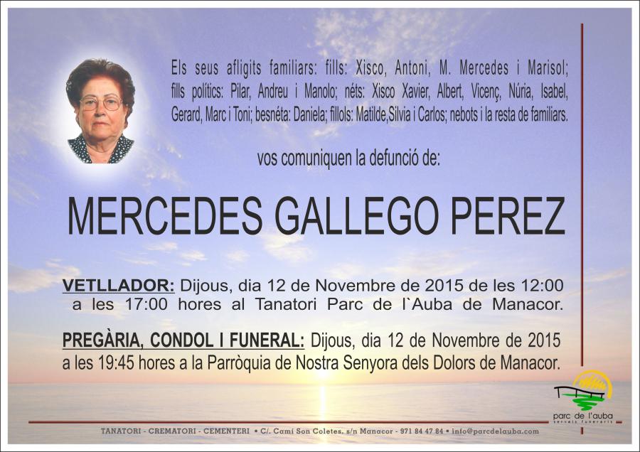 MERCEDES GALLEGO PEREZ