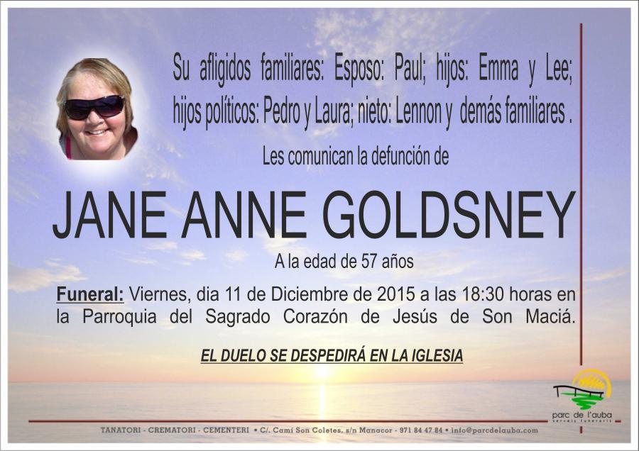 JANE ANNE  GOLDSNEY