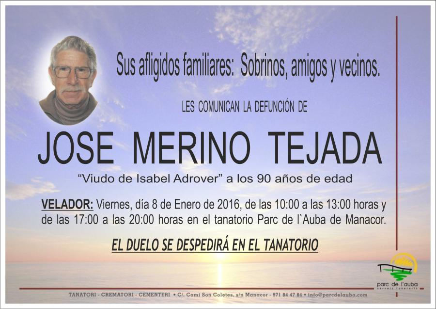 JOSE MERINO TEJADA