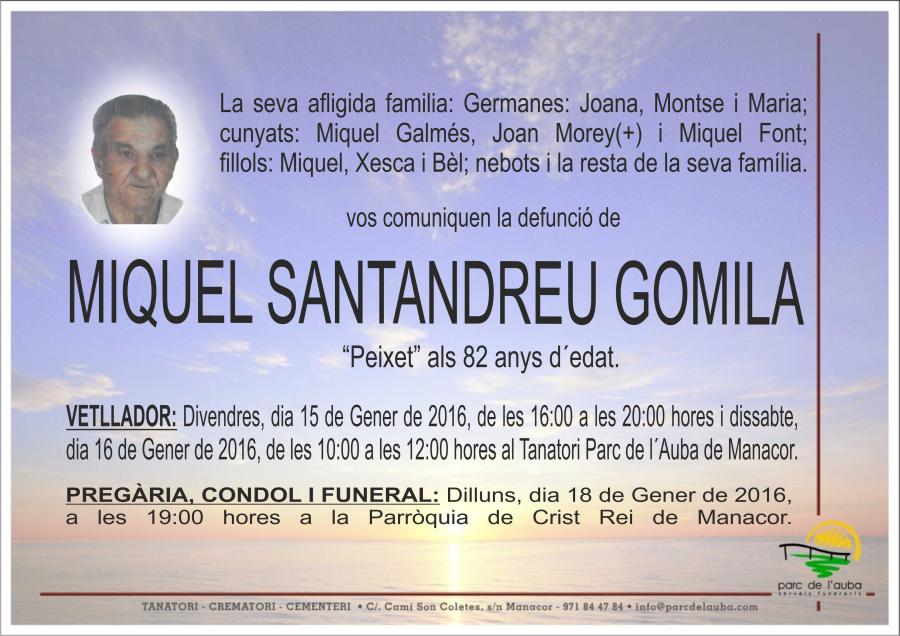 MIQUEL SANTANDREU GOMILA