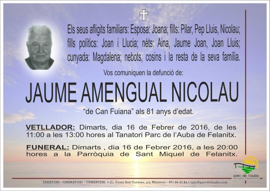 JAUME AMENGUAL NICOLAU