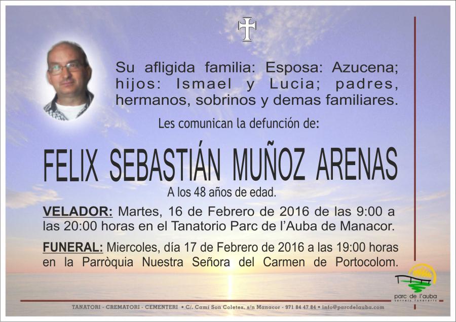 FELIX SEBASTIAN MUÑOZ ARENAS