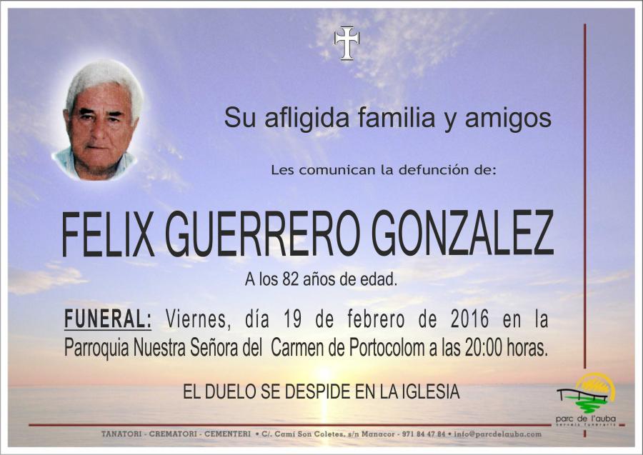 FELIX  GUERRERO GONZALEZ