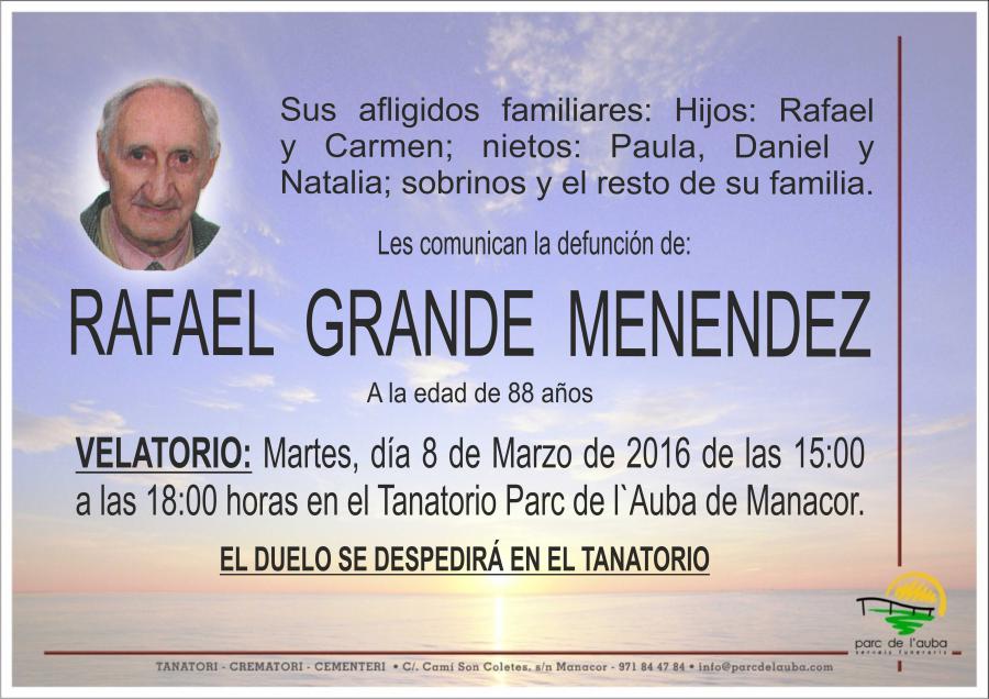 RAFAEL  GRANDE MENENDEZ