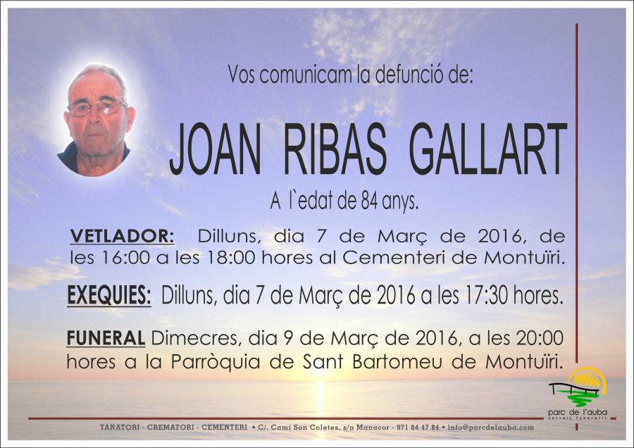JOAN RIBAS GALLART