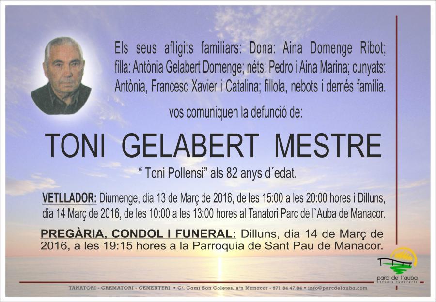TONI GELABERT MESTRE