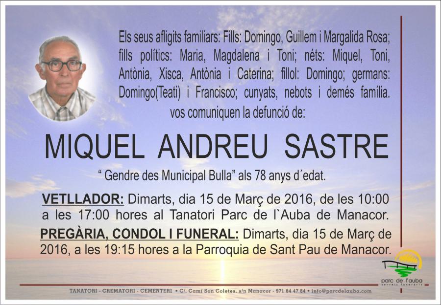MIQUEL ANDREU SASTRE