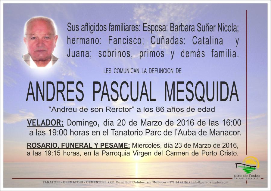 ANDRES PASCUAL MESQUIDA