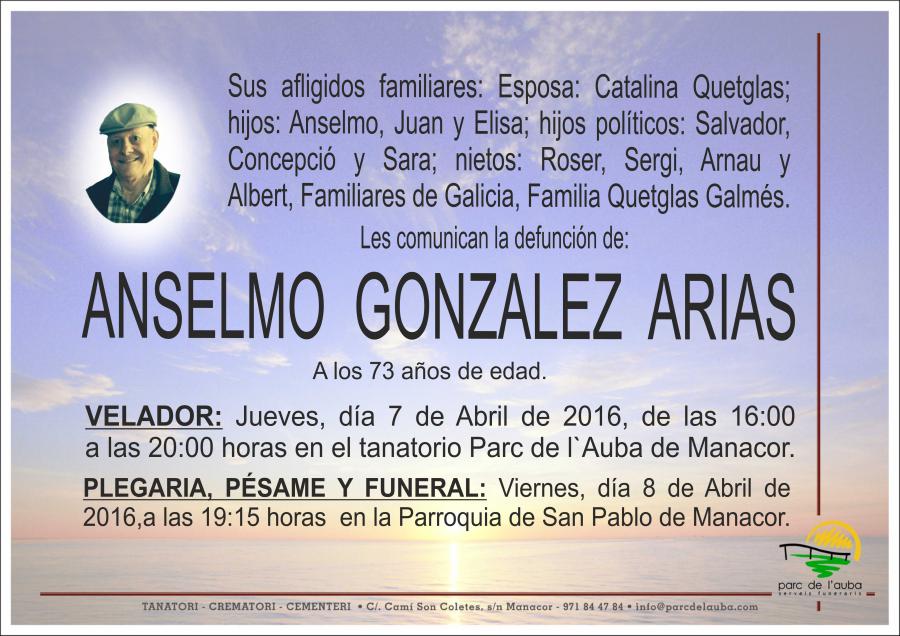 ANSELMO GONZALEZ ARIAS