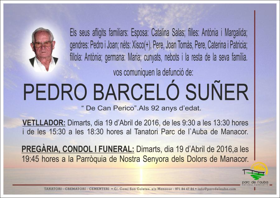 PEDRO BARCELÓ SUÑER