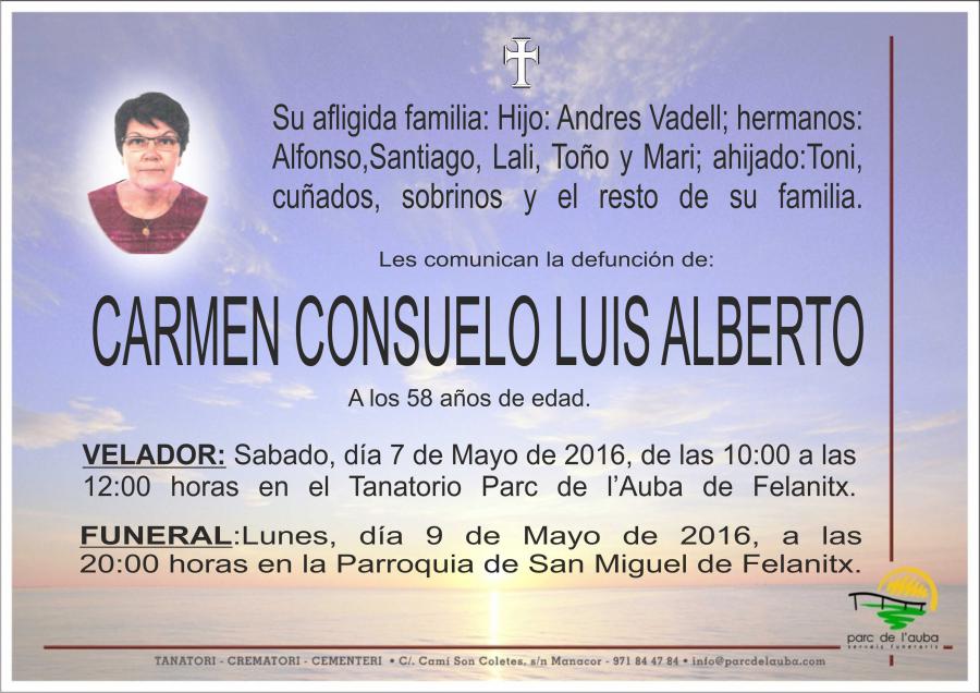 CARMEN CONSUELO LUIS ALBERTO