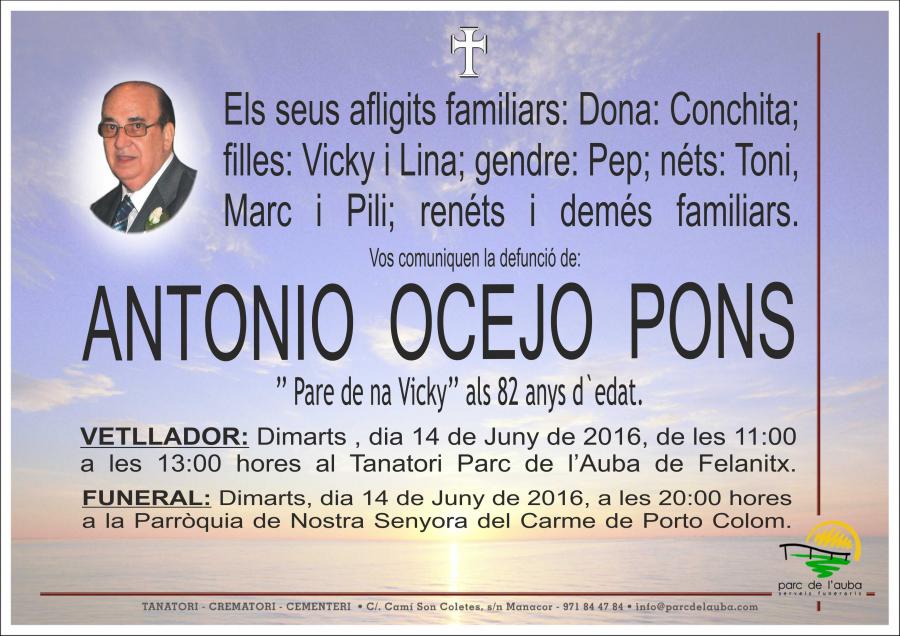 ANTONIO OCEJO PONS