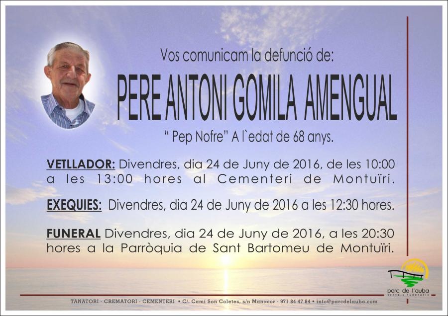 PERE ANTONI  GOMILA AMENGUAL