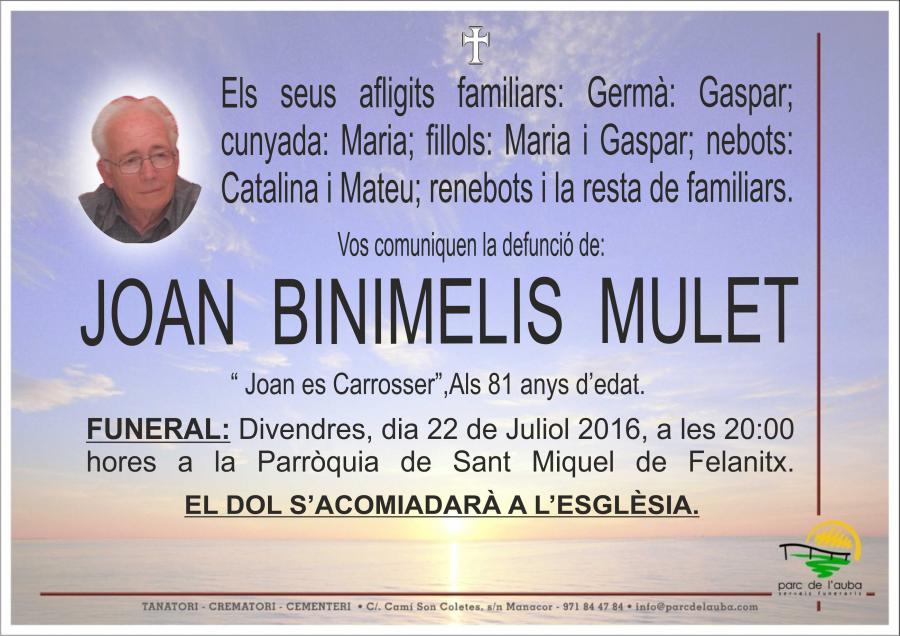 JOAN BINIMELIS MULET